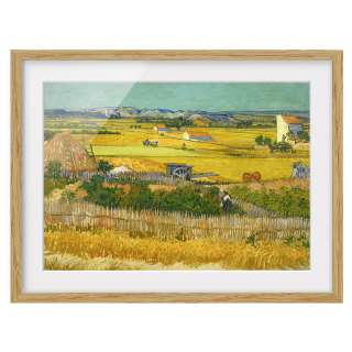 home24 Bild Die Ernte IV