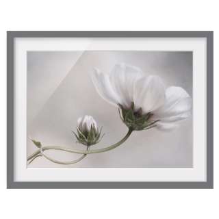 home24 Bild Simply Cosmos III