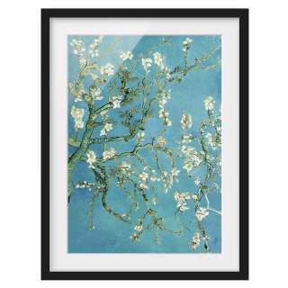 home24 Bild Mandelbluete I