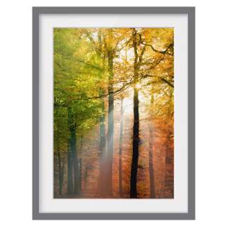 home24 Bild Morning Light III