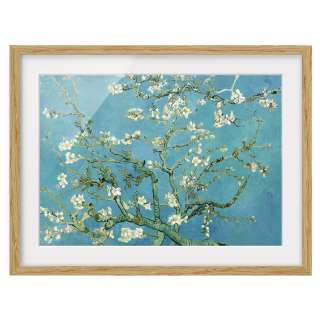home24 Bild Mandelbluete VIII