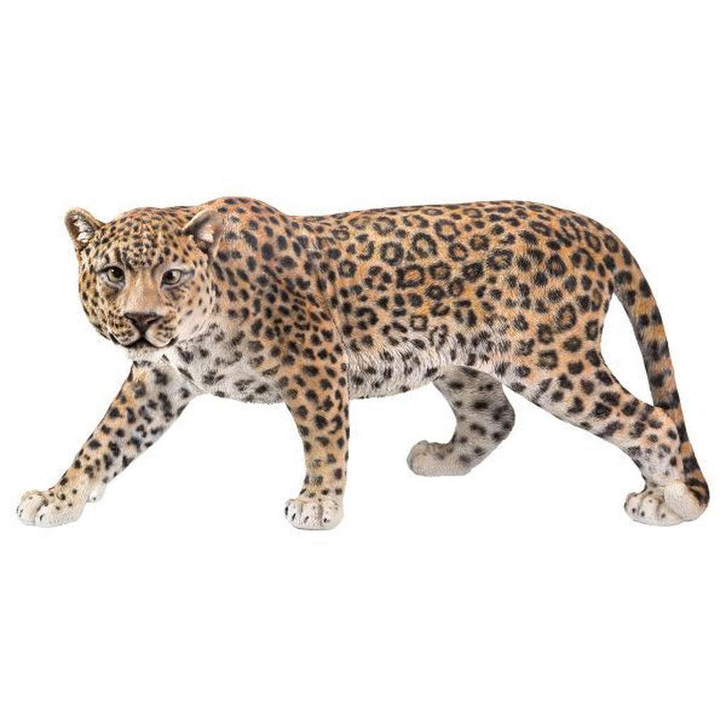 DEKOLEOPARD