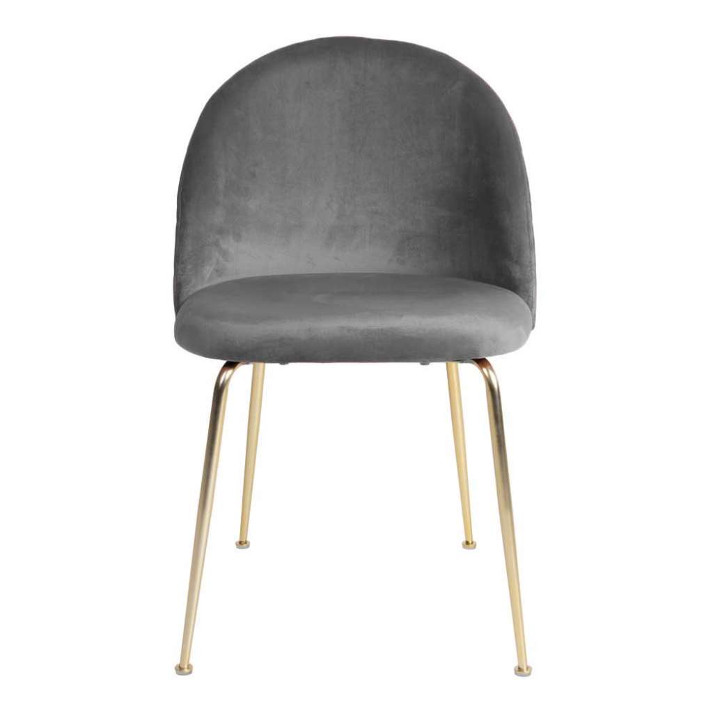 Esstisch Stühle in Grau Samt Metallgestell in Messingfarben (2er Set)