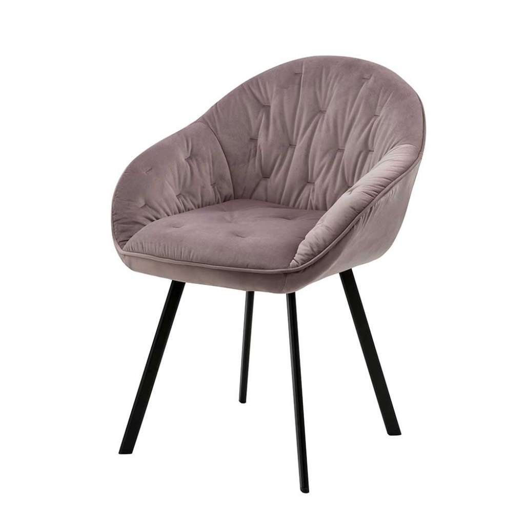 Samt Armlehnenstühle in Altrosa Metallgestell in Schwarz (2er Set)
