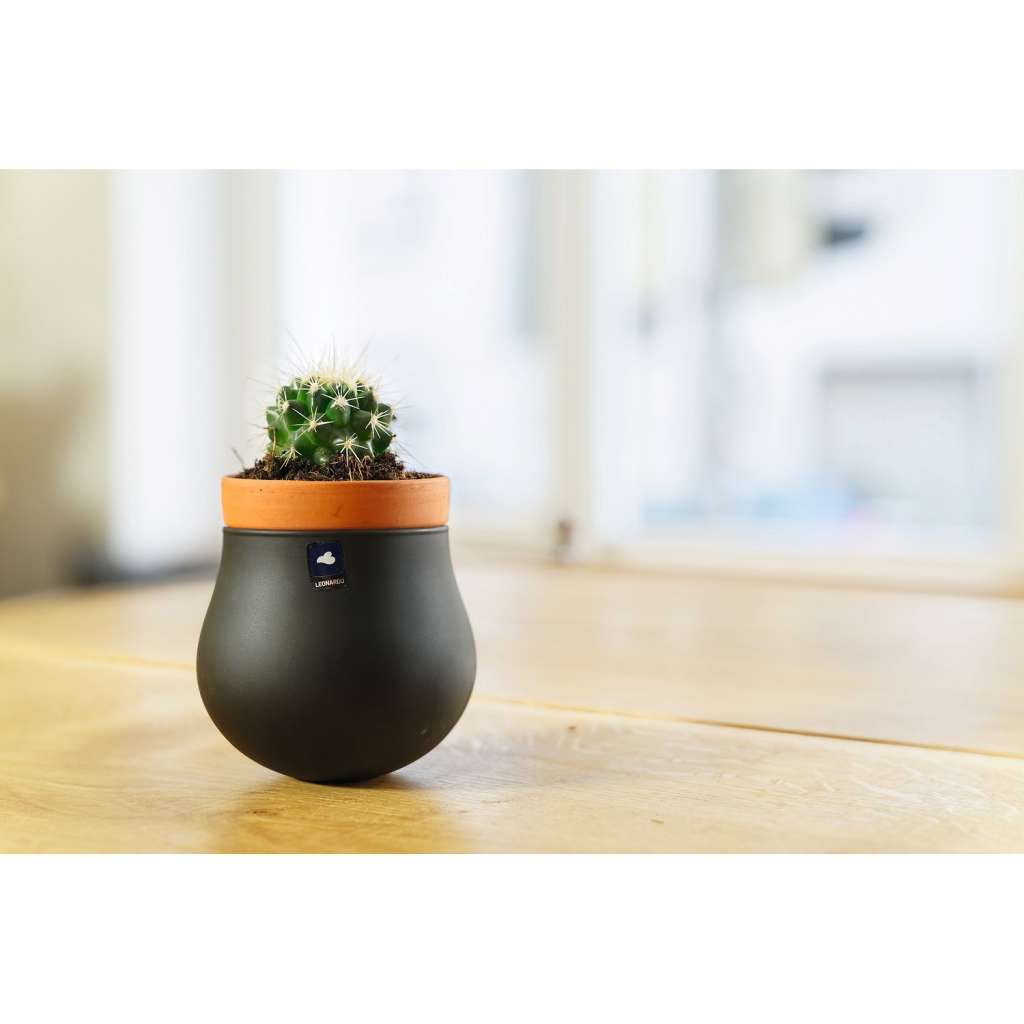 home24 Pflanztopf Serra (2-teilig)
