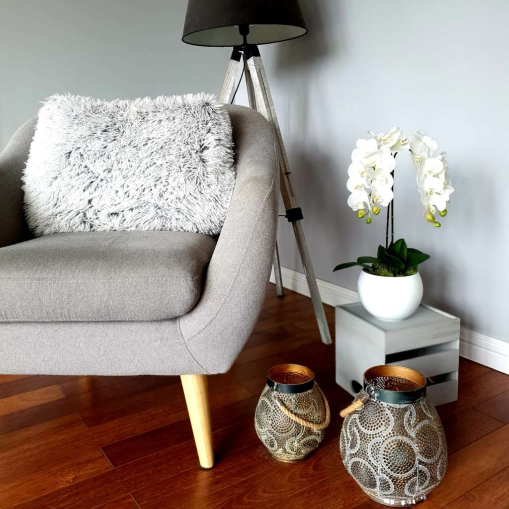 home24 Arrangement Orchidee