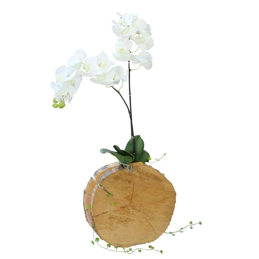 home24 Arrangement Orchidee in Holz II