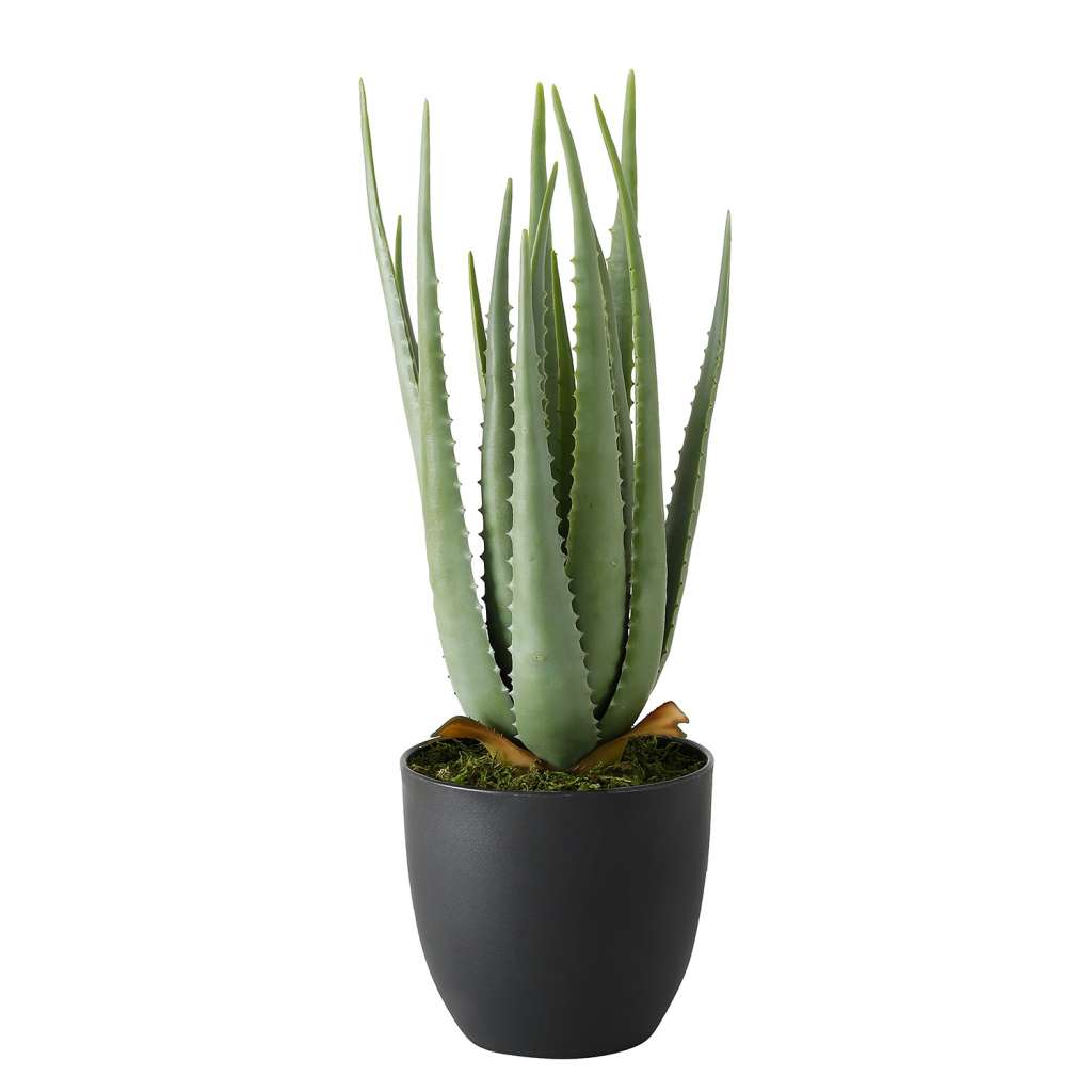 home24 Kunstpflanze Aloe Vera
