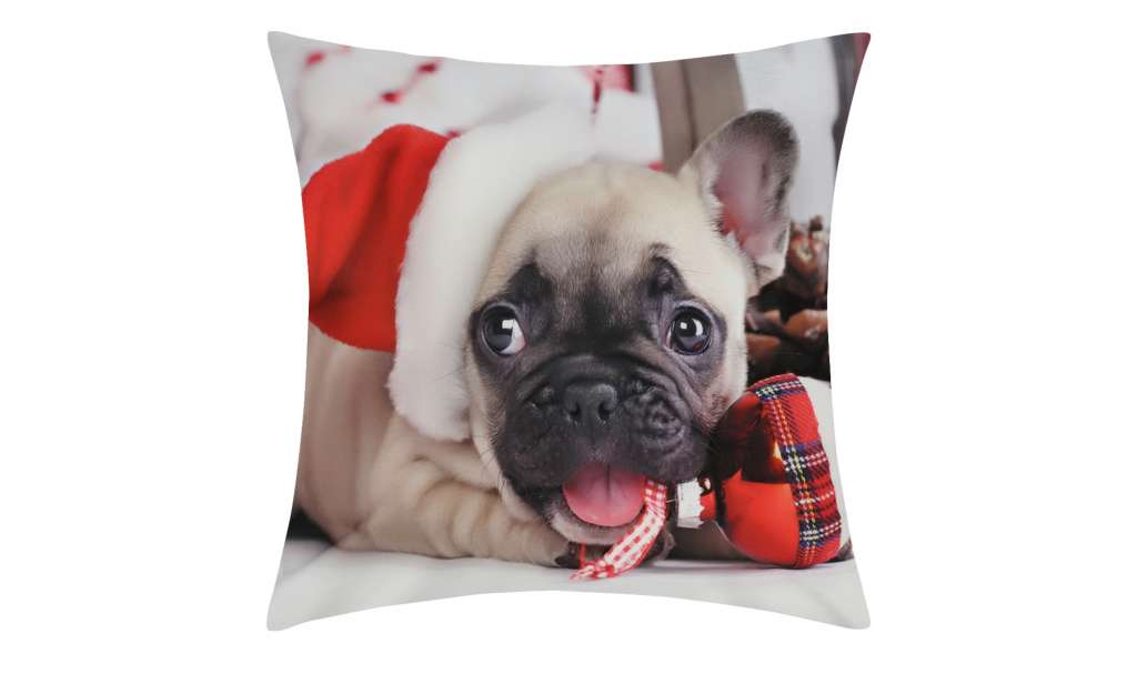 Kissen  Weihnachtsliebling ¦ mehrfarbig ¦ 100% Polyesterfüllung ¦ Maße (cm): B: 40 Heimtextilien > Kissen > Dekokissen - Höffner