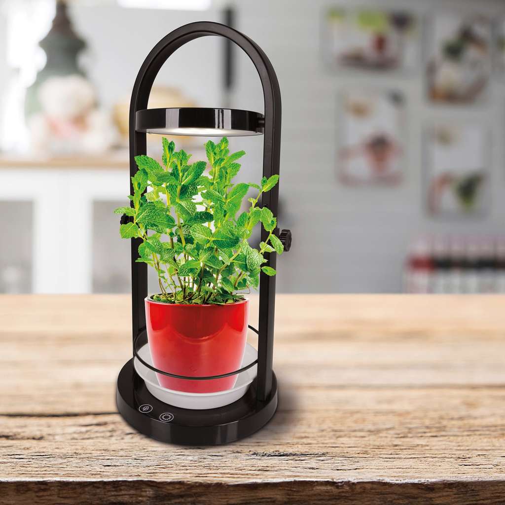 home24 LED-Tischleuchte Gobles