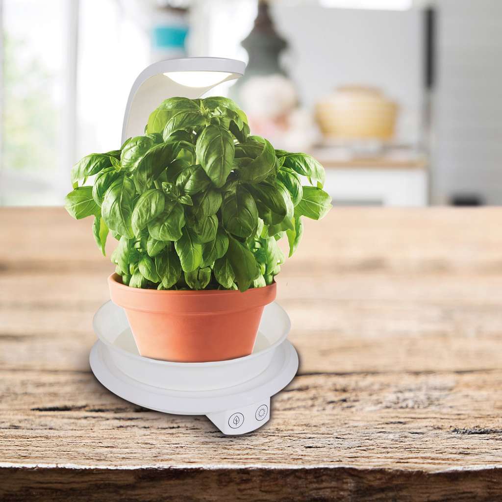 home24 LED-Tischleuchte Goddard