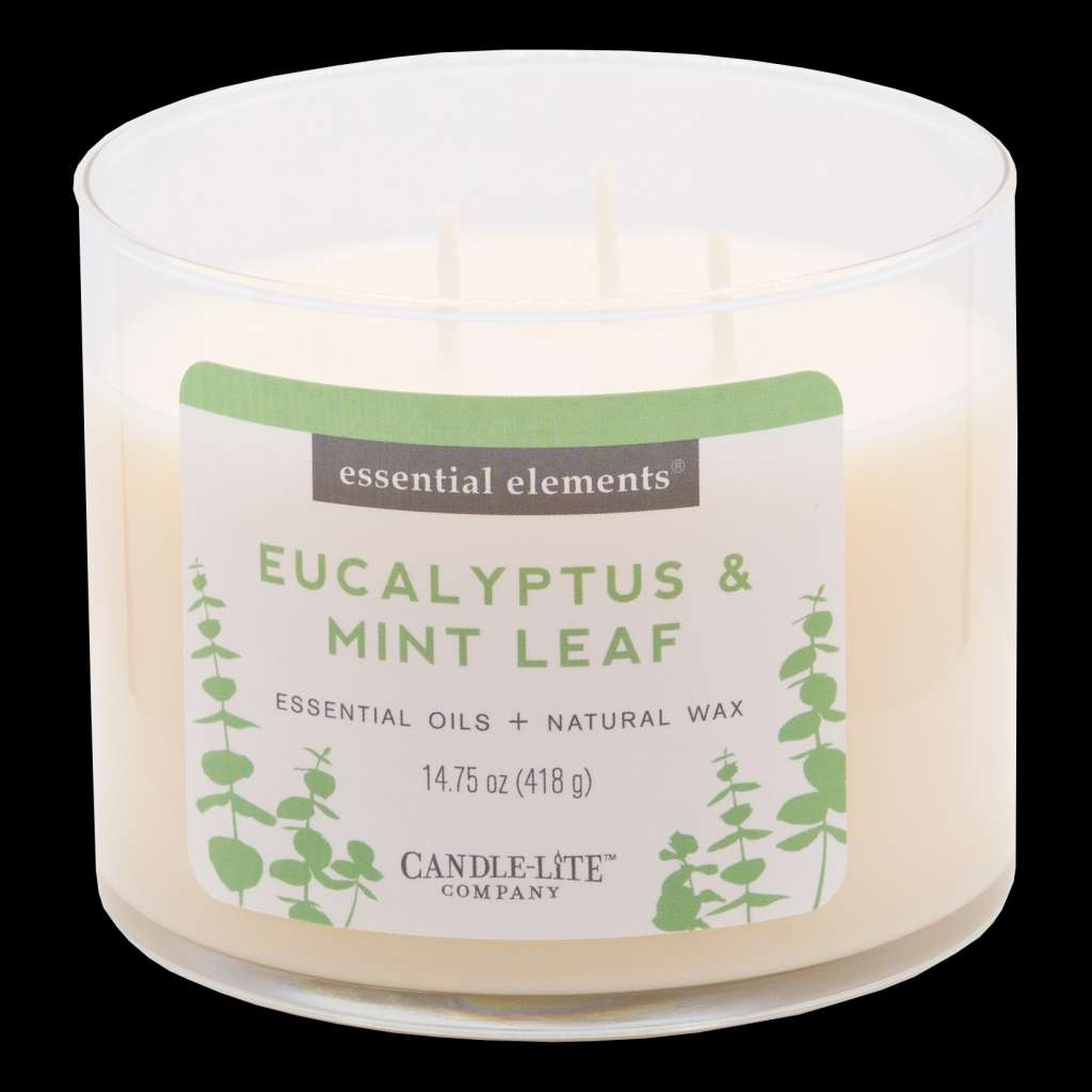 home24 Duftkerze Eucalyptus & Mint Leaf