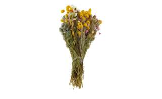 Trockenblumenstrauß ¦ mehrfarbig ¦ Naturprodukte ¦ Maße (cm): B: 40 H: 55 T: 10 Dekoration > Kunstblumen - Höffner