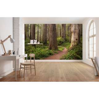 home24 Vlies Fototapete Redwood Trail