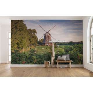 home24 Vlies Fototapete Tage wie Diese