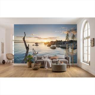 home24 Vlies Fototapete Final Light