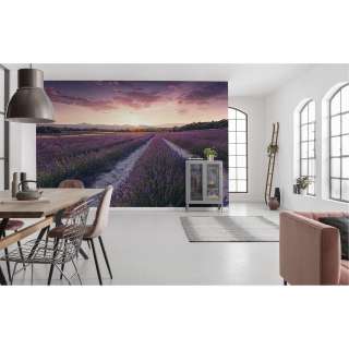 home24 Vlies Fototapete Lavender Dream