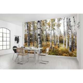 home24 Vlies Fototapete Colorful Aspenwoods