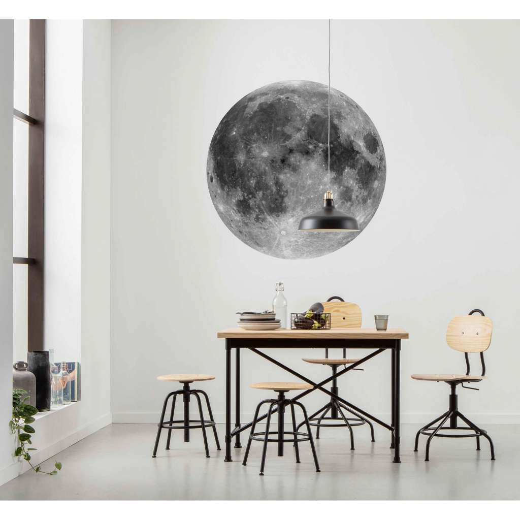 home24 Vlies Fototapete Moon
