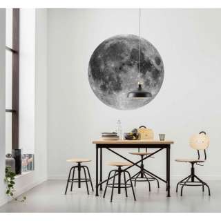 home24 Vlies Fototapete Moon