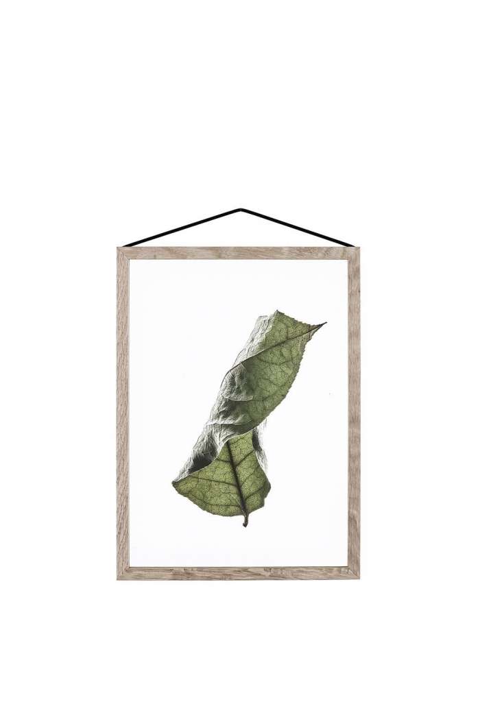 Moebe - Floating Leaves A4 04 - - indoor