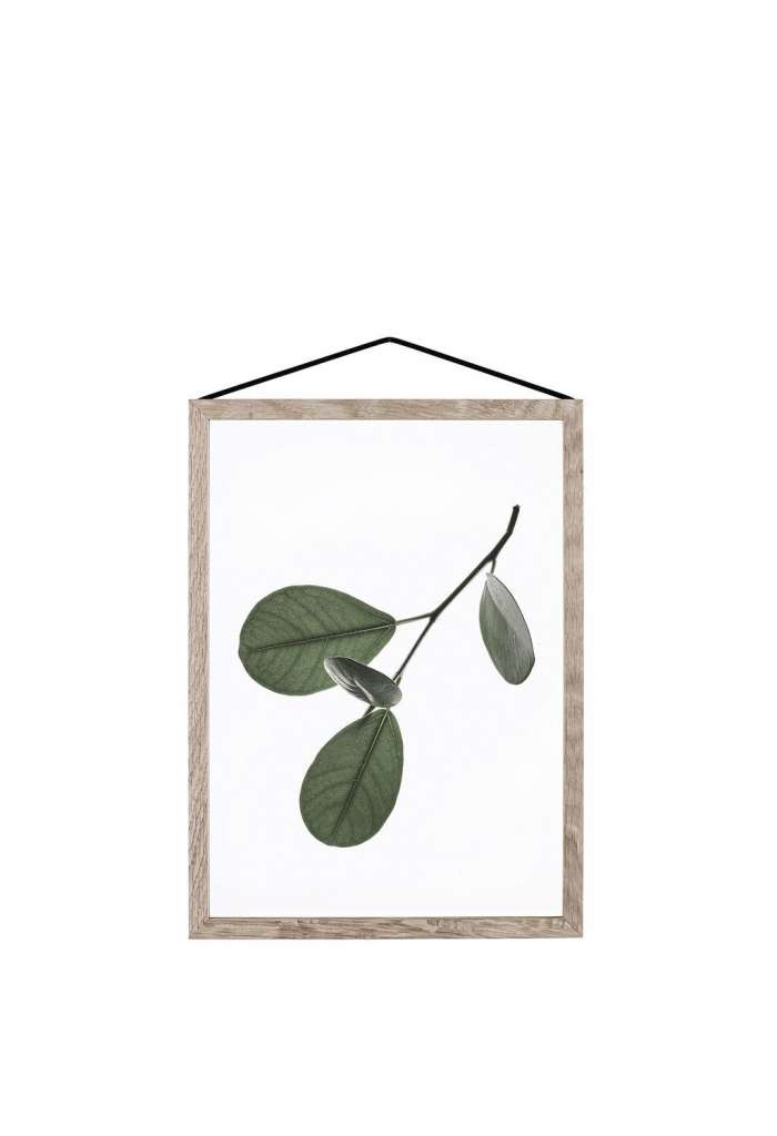 Moebe - Floating Leaves A5 - - indoor