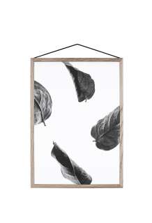 Moebe - Floating Leaves A4 02 - - indoor