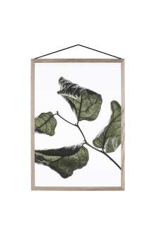 Moebe - Floating Leaves A4 03 - - indoor