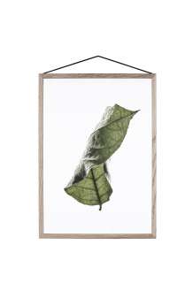 Moebe - Floating Leaves A4 04 - - indoor