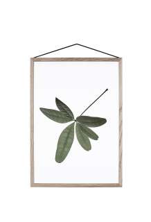 Moebe - Floating Leaves A4 06 - - indoor