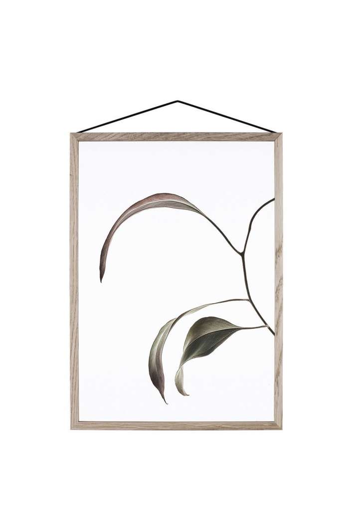 Moebe - Floating Leaves A4 07 - - indoor