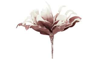Soft Flower  Protea ¦ lila/violett ¦ Kunststoff, Metall ¦ Maße (cm): H: 38 Dekoration > Kunstblumen - Höffner