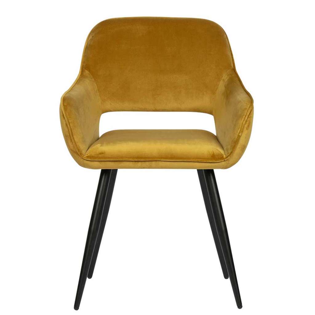 Samt Armlehnenstühle in Gelb modern (2er Set)