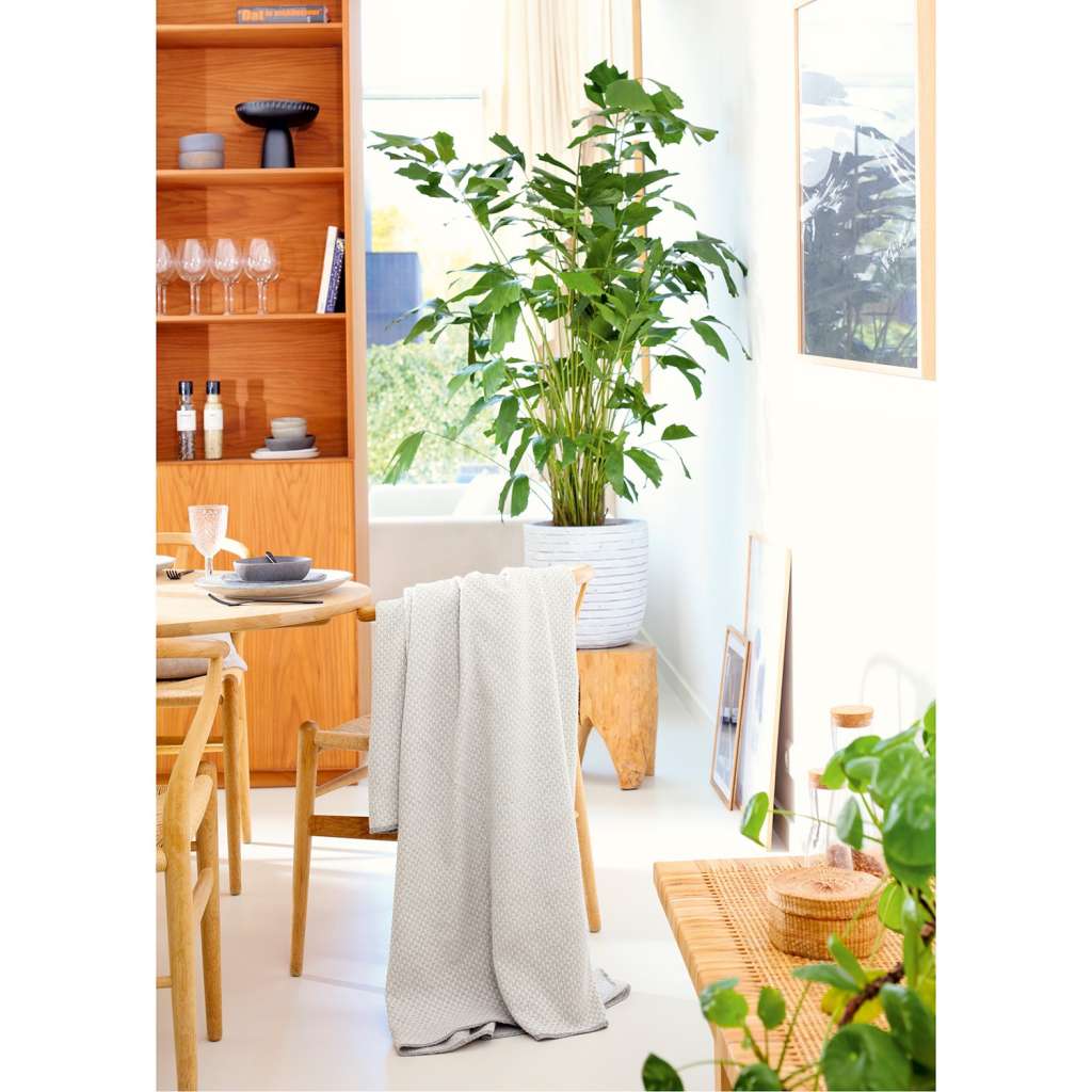 home24 Wohndecke Structure