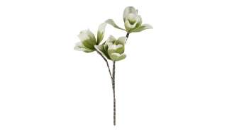 Soft Flower Magnolie ¦ grün ¦ Metall, Kunststoff Dekoration > Kunstblumen - Höffner
