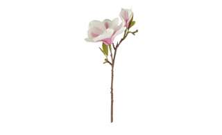 Magnolienblütenzweig ¦ rosa/pink ¦ Kunststoff Dekoration > Kunstblumen - Höffner