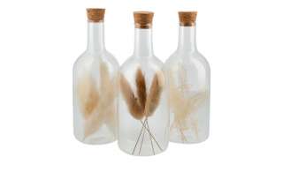 Trockenblume in Glasflasche, sortiert ¦ braun ¦ Naturprodukte, Glas Ø: 6.5 Dekoration > Kunstblumen - Höffner