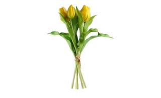 Tulpenbund ¦ gelb ¦ Kunststoff Dekoration > Kunstblumen - Höffner