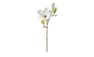 Magnolienblütenzweig ¦ weiß ¦ Kunststoff Dekoration > Kunstblumen - Höffner