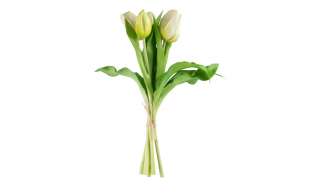 Tulpenbund ¦ grün ¦ Kunststoff Dekoration > Kunstblumen - Höffner
