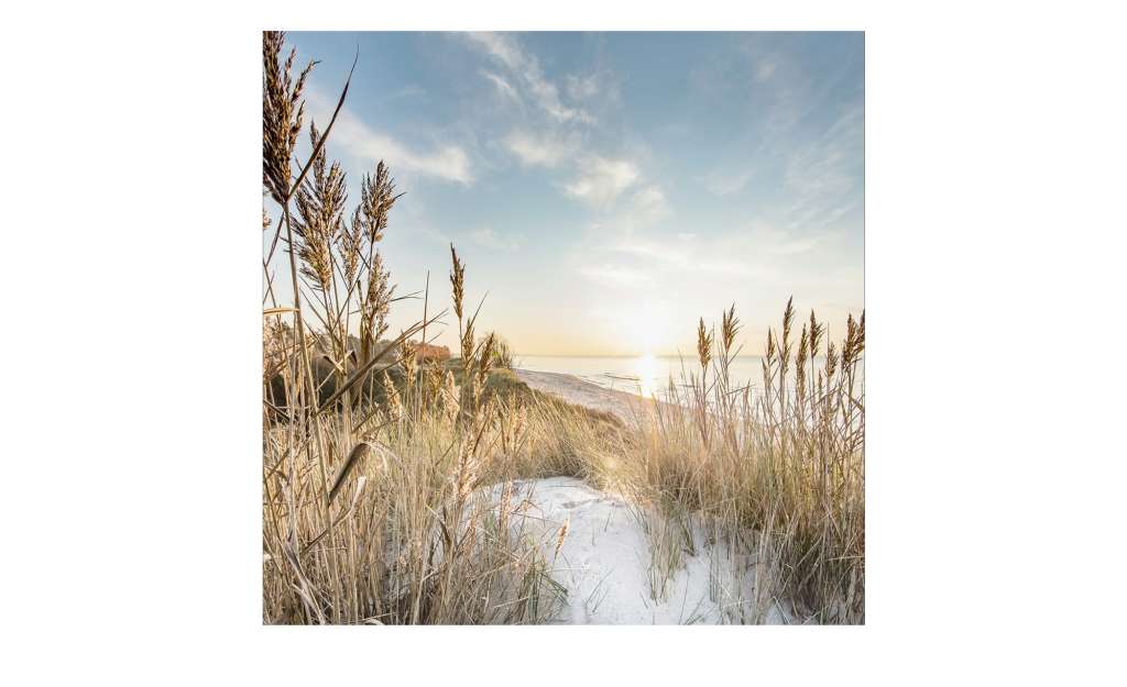 Glasbild 30x30 cm  Wilder Strand III Dekoration > Bilder & Schilder - Höffner