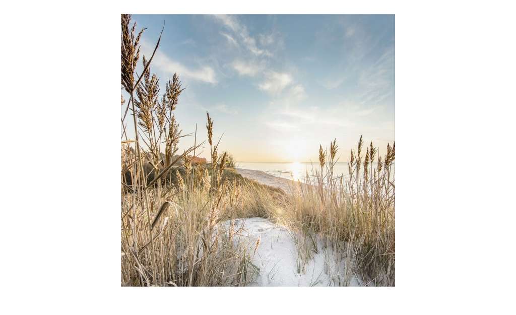 Glasbild 20x20 cm  Wilder Strand III Dekoration > Bilder & Schilder - Höffner