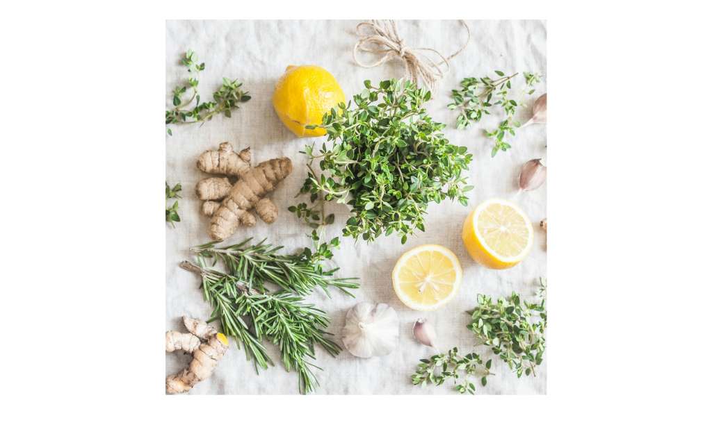 Glasbild 20x20 cm  Cook me V Dekoration > Bilder & Schilder - Höffner