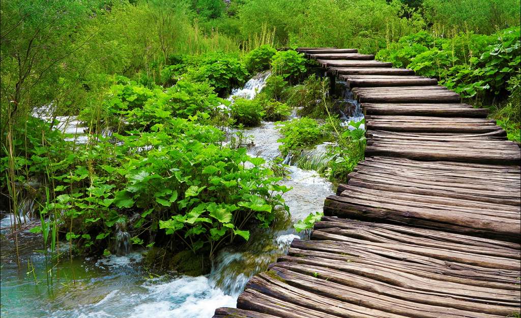 Kunstleinwand  Sparkling nature ¦ grün Dekoration > Bilder & Schilder - Höffner