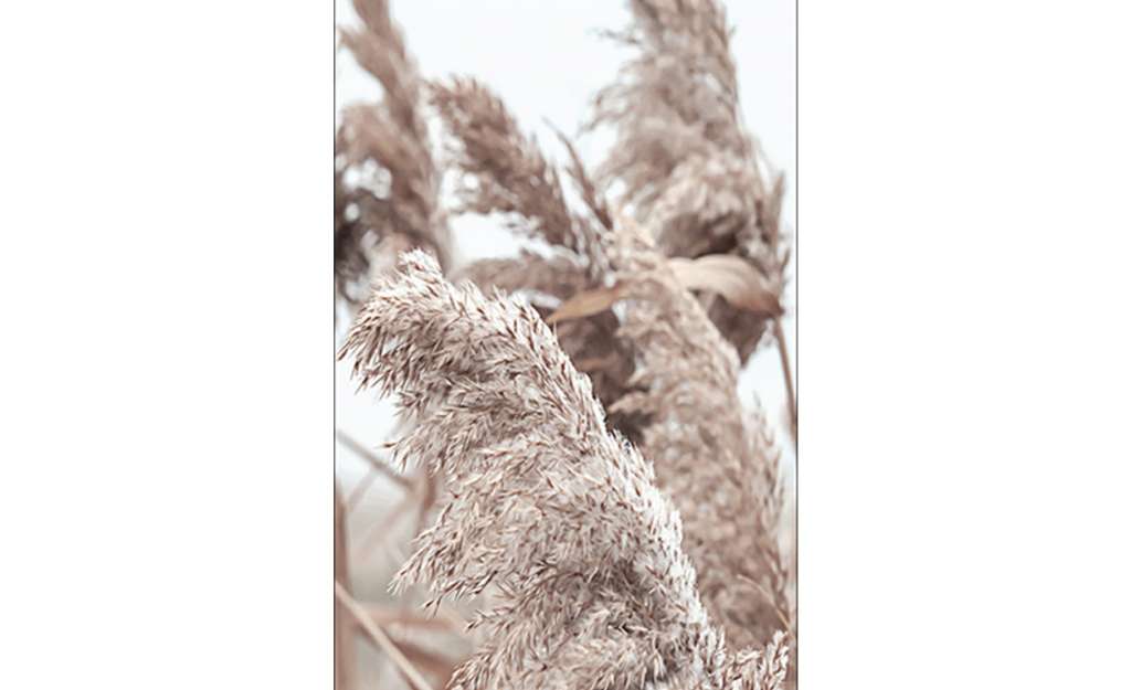 Kunstleinwand  In the Breeze II Dekoration > Bilder & Schilder - Höffner