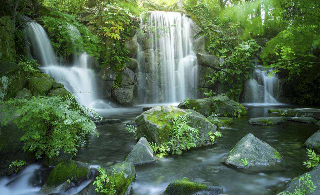 Kunstleinwand  Forest & Waterfall I Dekoration > Bilder & Schilder - Höffner