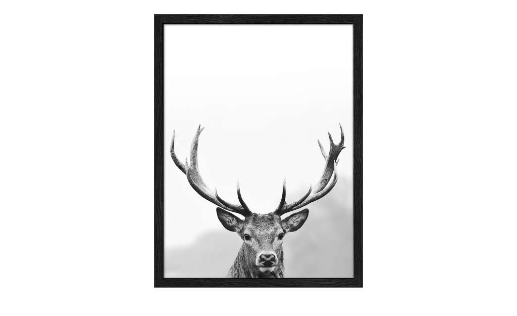 Gerahmtes Bild Slim-Scandic  Grey Dead Head III Dekoration > Bilder & Schilder - Höffner