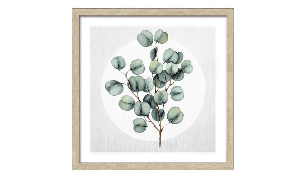Gerahmtes Bild Scandic  Different Eucalyptus Branches III Dekoration > Bilder & Schilder - Höffner
