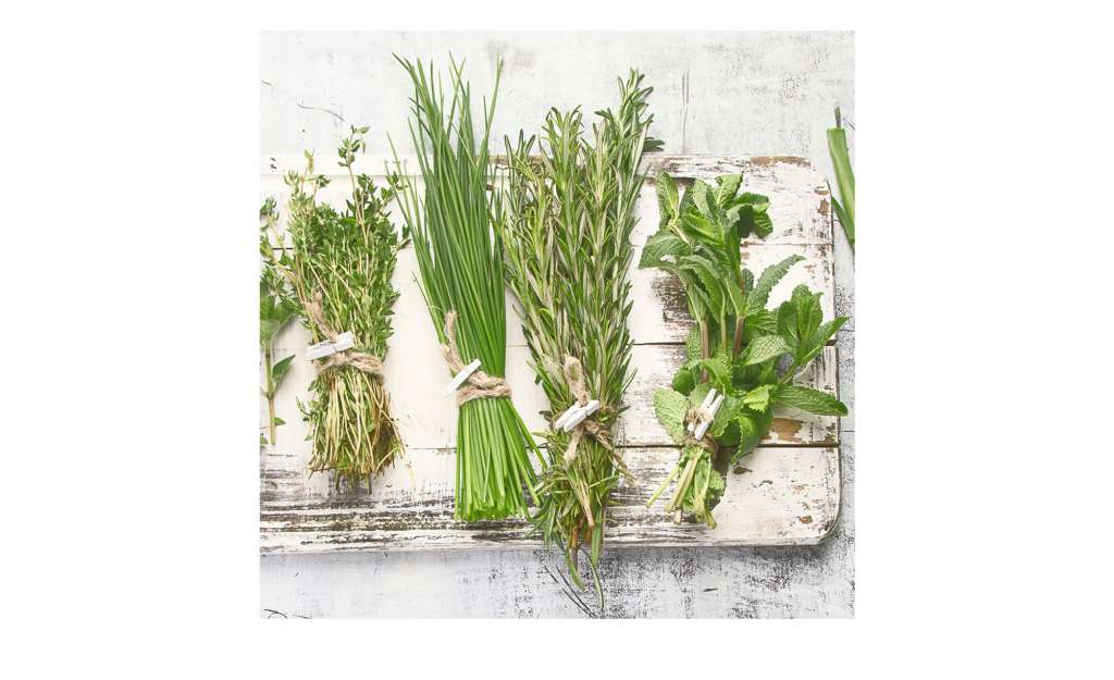 Glasbild 30x30 cm  Cook me IV Dekoration > Bilder & Schilder - Höffner