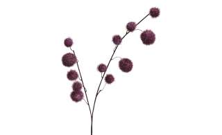 Gomphocarpus-Fruchtzweig ¦ lila/violett ¦ Metall, Kunststoff Dekoration > Kunstblumen - Höffner